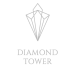 LOGO DIAMOND cinza-03