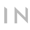 logo lins-cinza